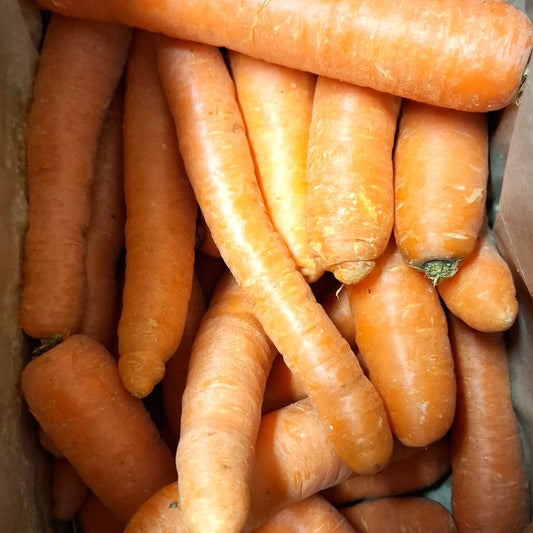 Sac de Carottes 2kg - Vannes