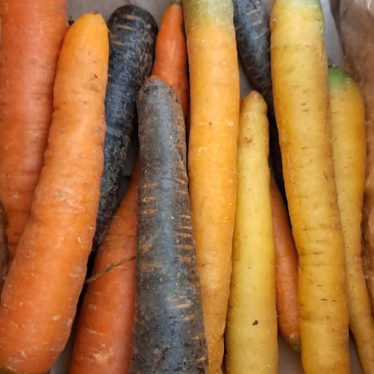 Sac de Carottes mixte 1,5 kg - Vannes